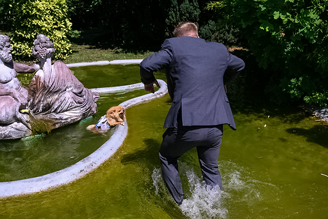 Trauzeuge springt im Anzug in den Brunnen, um den Hund während einer Sommerhochzeit im Schloss Edelsheim zu retten